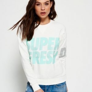 Superdry Pyöreäkauluksinen Freshness Pusero Valkoinen