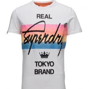 Superdry Real Block Tee lyhythihainen t-paita