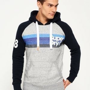 Superdry Retro Mountain Stripe Raglan Huppari Vaaleanharmaa