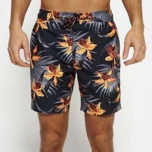 Superdry Vacation Paradise Uimashortsit Harmaa