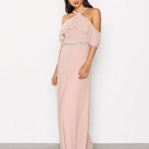 Tfnc Aylin Maxi Dress Maksimekko Mauve