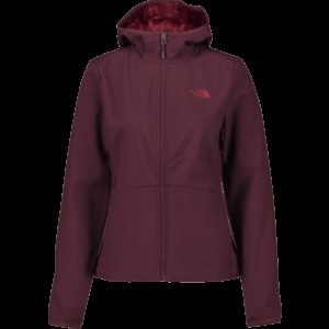 The North Face Tanken Highloft Softshell Takki