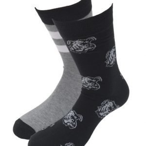 Tom Glory 2 pack Sock Bulldog Black