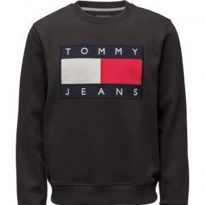 Tommy Jeans Tjm 90s Sweatshirt L/S 3 svetari