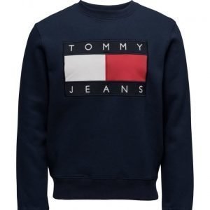 Tommy Jeans Tjm 90s Sweatshirt L/S 3 svetari