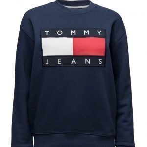 Tommy Jeans Tjw 90s Sweatshirt L/S 3 svetari