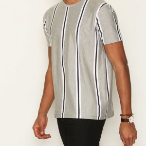 Topman Grey Vertical Stripe Slim Fit T-Shirt T-paita Light Grey