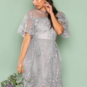 True Decadence Lace Short Sleeve Dress Skater Mekko Grey