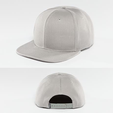 TrueSpin Snapback Lippis Harmaa