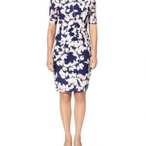 Whistles Apples And Pears Bodycon Silkkimekko