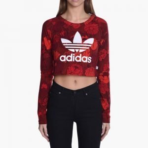 adidas Originals Crop Long Sleeve Tee