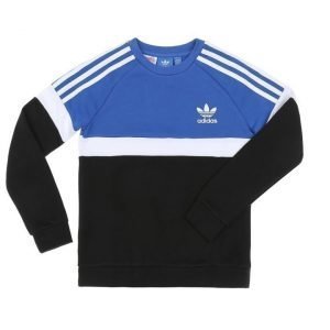 adidas Originals collegepusero