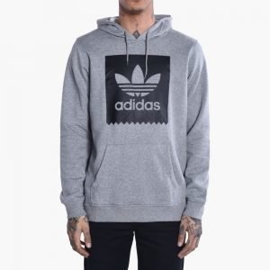 adidas Skateboarding Blackbird Basic Hood